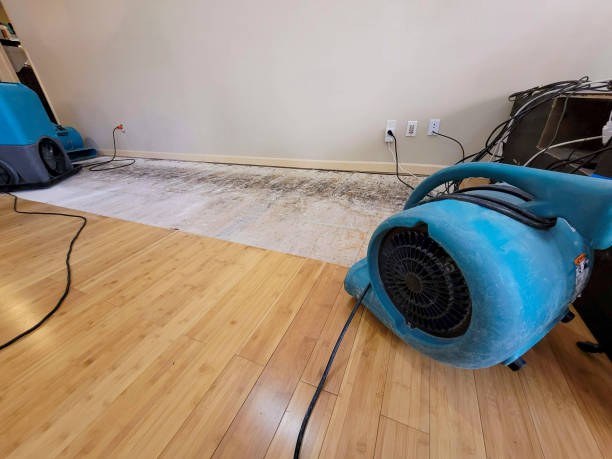 Professional Flood Damage Cleanup technician working in Upper Black Eddy, PA